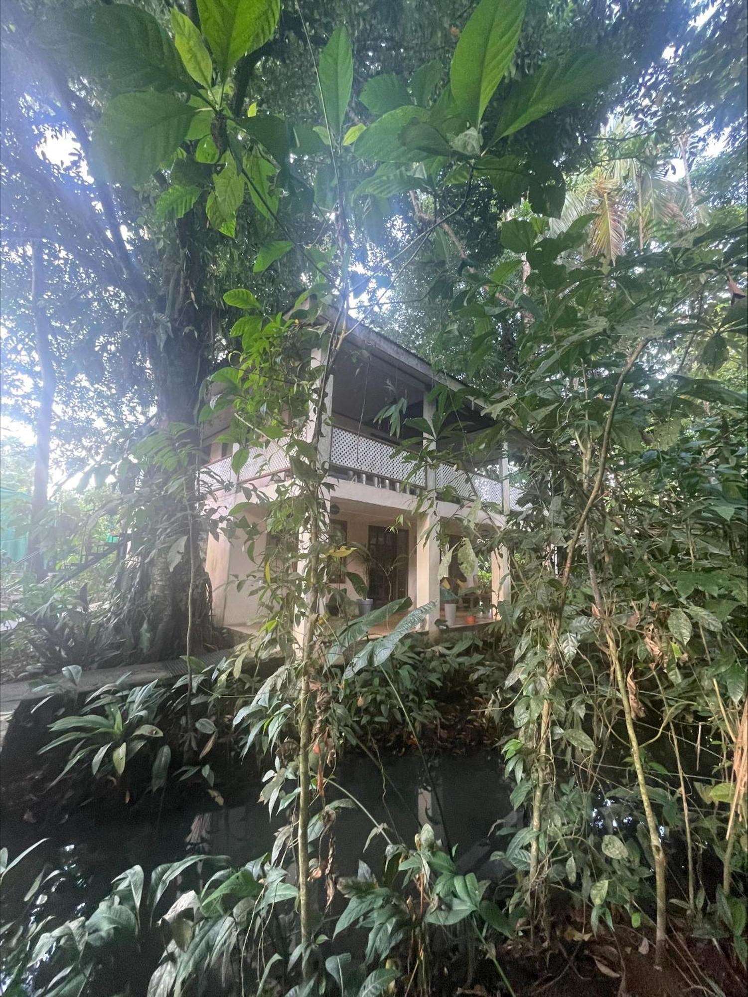 Villa Casa Jaguar Tortuguero Esterno foto
