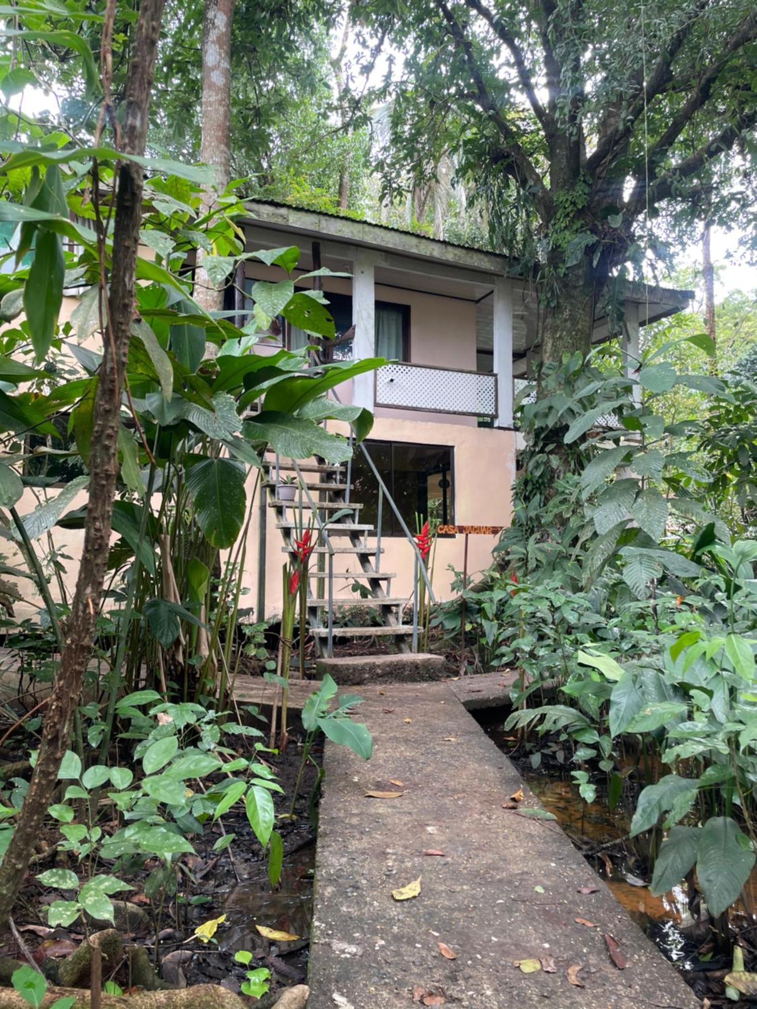 Villa Casa Jaguar Tortuguero Esterno foto
